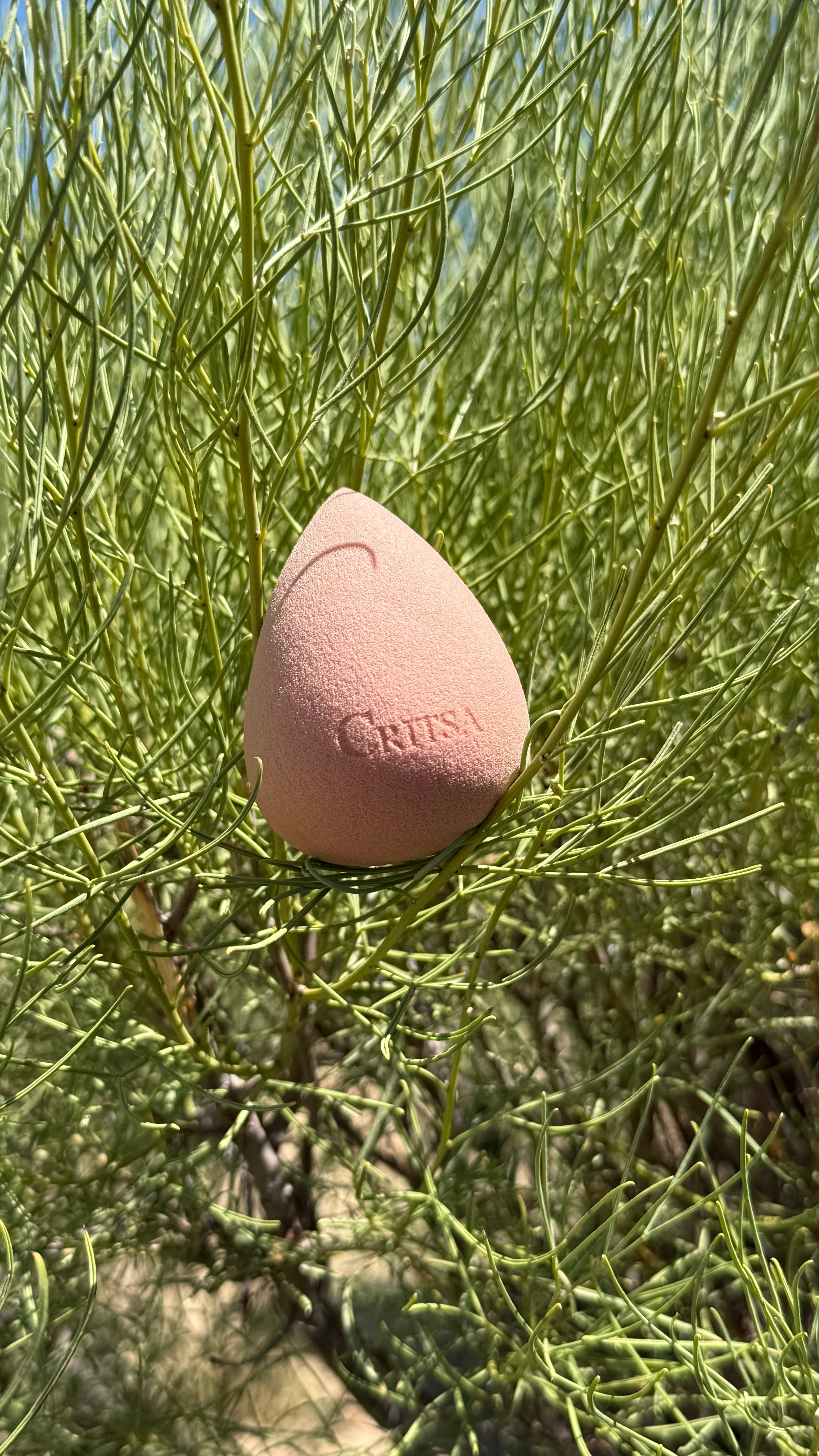 Beauty sponge